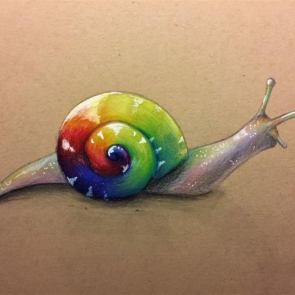 snail_s